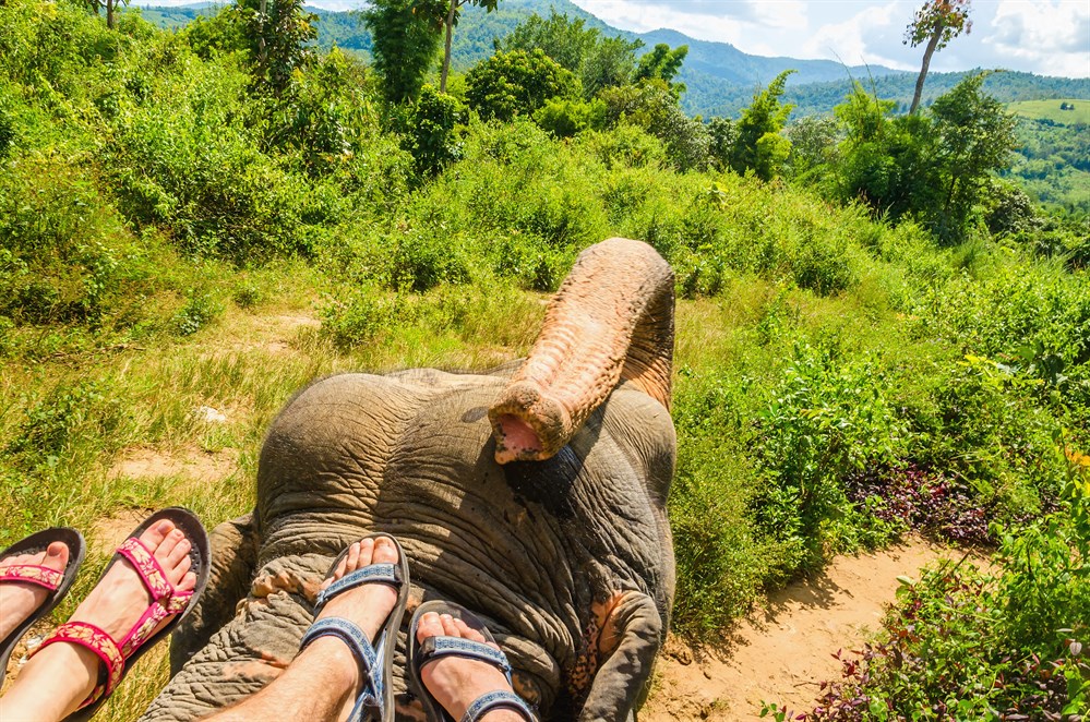 Elephant Trekking Phuket